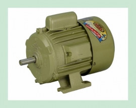 SEAMAX ELECTRIC MOTOR