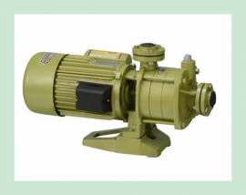 SEAMAX MULTISTAGE PUMP
