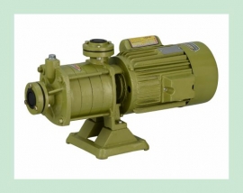 SEAMAX MULTISTAGE PUMP